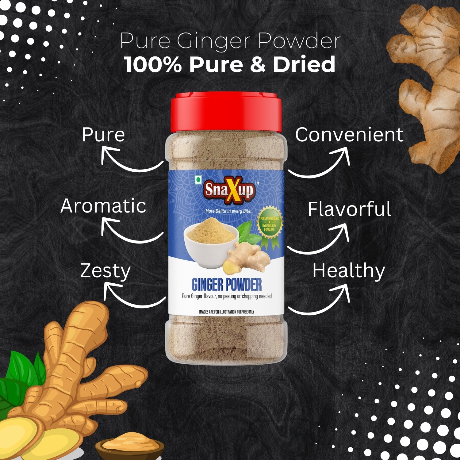 Ginger Powder 100g