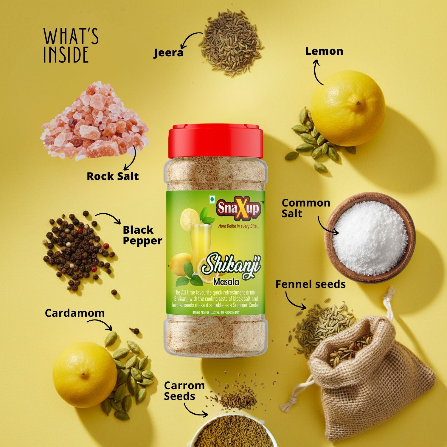 Shikanji Masala Powder 100g