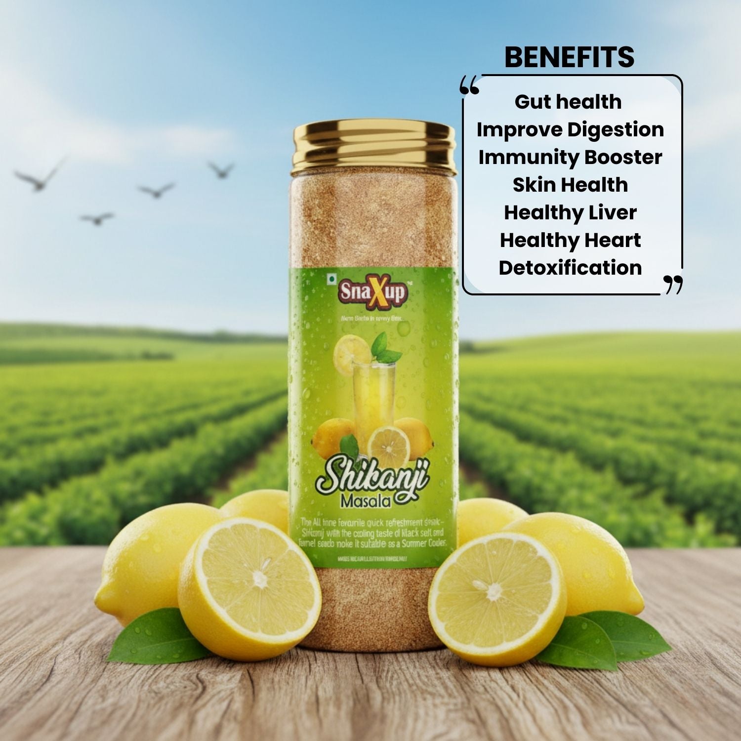 Shikanji Masala Powder 100g